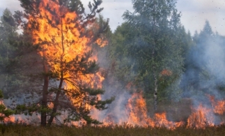 Raport CE: România, țara cea mai afectată de incendiile forestiere în anul 2020