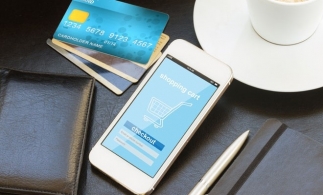 Gabriela Folcuț (ARB): 27 % dintre românii care au cont bancar plătesc prin internet și mobile banking