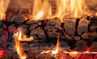 Ministerul Mediului propune un ajutor de 150 lei/mc pentru lemnul de foc destinat încălzirii