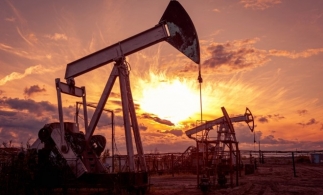 IEA: Scăderea livrărilor de petrol ale grupului OPEC+ ar putea împinge în recesiune economia mondială