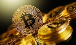 Handelsblatt: Liechtenstein ar putea permite plățile în bitcoin pentru anumite servicii de stat