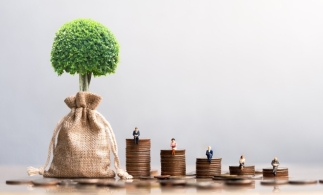 Diana Buzoianu: Anul acesta este dificil și cu greu vor mai putea să fie lansate proiecte noi