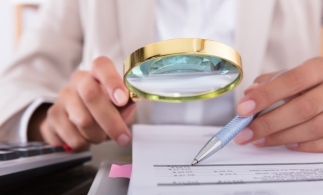 Curtea de Conturi: Aplicarea practică a sistemelor de integritate instituțională este neuniformă la nivelul administrației publice locale