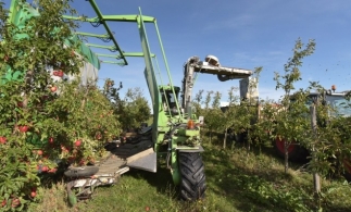 AFIR: 30 octombrie data-limită pentru depunerea ultimei cereri de plată pentru investițiile prin PNDR 2020