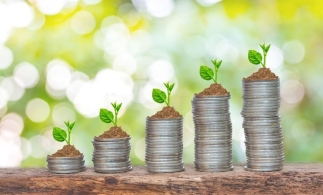 Guvernul consolidează rolul Băncii de Investiții și Dezvoltare în susținerea investițiilor verzi și implementarea Fondului pentru Modernizare