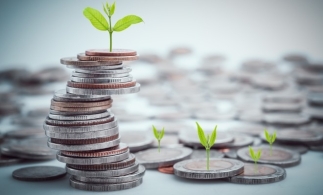 MF: Din 14 aprilie, o nouă ediție a programului de titluri de stat Fidelis, cu dobânzi neimpozabile de până la 7,60% pe an