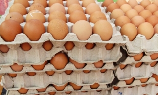 Industria avicolă poate acoperi cererea de ouă; românii consumă cu 50% mai mult, în perioada Sărbătorilor Pascale
