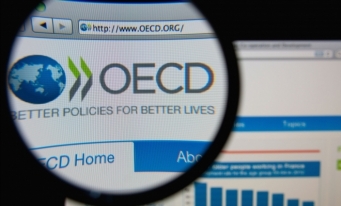 OECD are o foaie de drum pentru revizuirea regulilor fiscale internaționale