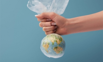 WWF International: În fiecare săptămână, în corpul unui om ajung 5 grame de plastic, cât un card de credit