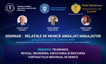CECCAR Dâmbovița: Seminar online privind relațiile de muncă