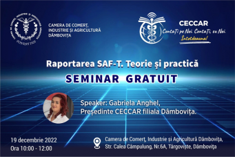 Seminar CECCAR Dâmbovița & Camera de Comerț, Industrie și Agricultură: Raportarea SAF-T. Teorie și practică