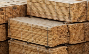 Volumul de lemn exploatat în 2022 a fost de 18,3 milioane metri cubi, în scădere cu 5,6% față de 2021