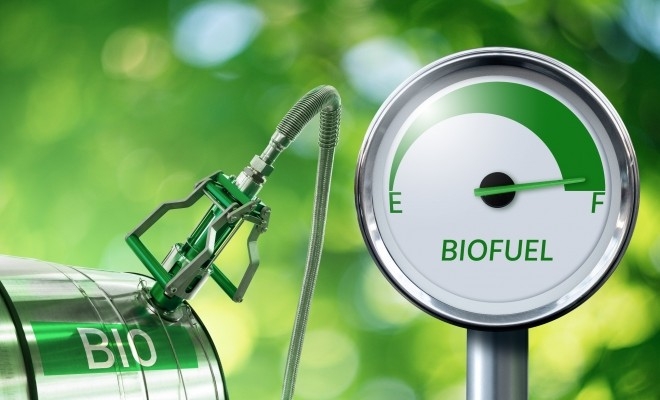 Curtea de Conturi Europeană: Biocombustibilii în UE - un viitor în ceață