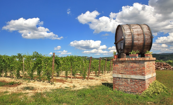 Dezvoltarea conceptului de wine tourism printr-un proiect comun România-Republica Moldova