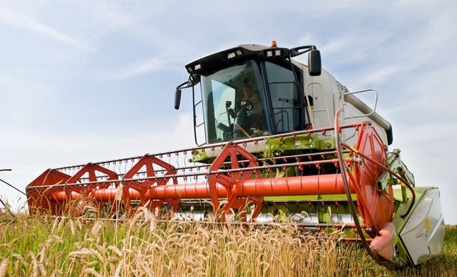 Petre Daea: Recoltarea grâului s-a încheiat; producția asigură atât consumul intern, cât și exportul
