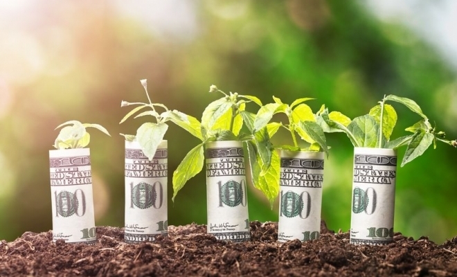 Emisiunile de obligaţiuni „verzi” au trecut de 200 de miliarde de dolari în acest an