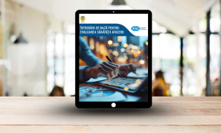 Întrebări de bază pentru evaluarea sănătății afacerii, document elaborat de IFAC, tradus de CECCAR în limba română