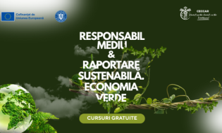 Competențele de sustenabilitate – un nou criteriu de performanță organizațională. De ce este esențial ca angajatorii să își direcționeze echipele către activități de formare profesională în domeniu