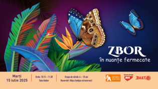 Muzeul Antipa | Atelier de Science&Craft – „Zbor în nuanțe fermecate”