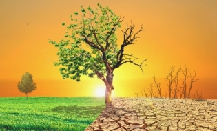 Europenii consideră combaterea schimbărilor climatice o prioritate și sprijină independența energetică