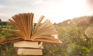 Premise și acțiuni