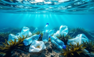 Excesul mondial de plastic se va agrava până în 2040