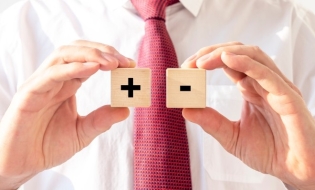 Plusuri și minusuri