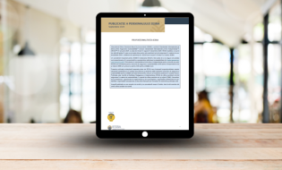 CECCAR publică traducerea în limba română a documentului Proporționalitatea IESSA emis de IESBA