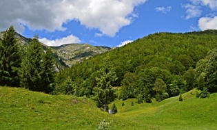 Cel mai lung traseu de sanie de vară din România va fi deschis în Sinaia, la 1 august
