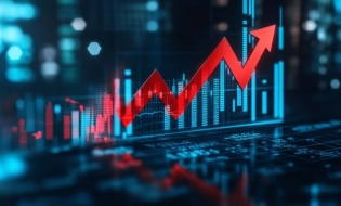 Fluxul net de investiții străine directe a scăzut la 5,6 miliarde de euro, în 2024