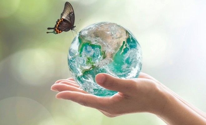 Sustenabil și sustenabilitate