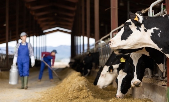 AFIR: Beneficiarii PNDR 2020 pot prezenta în cel mult 12 luni avizele mediu, sanitare și sanitar-veterinare