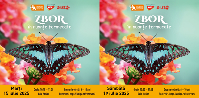 Atelier de Science&Craft - Zbor în nuanțe fermecate