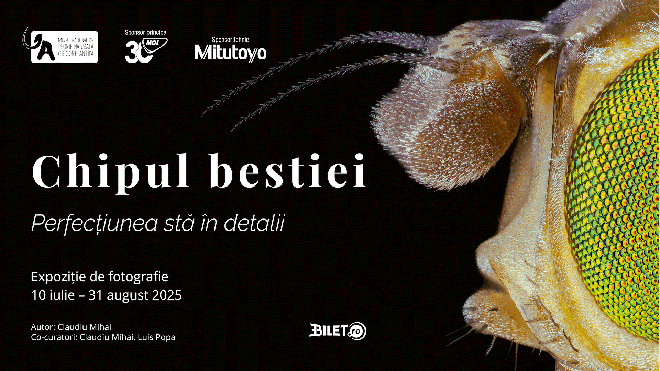 Muzeul Antipa | Expoziția de fotografie macro „Chipul bestiei. Perfecțiunea stă în detalii”