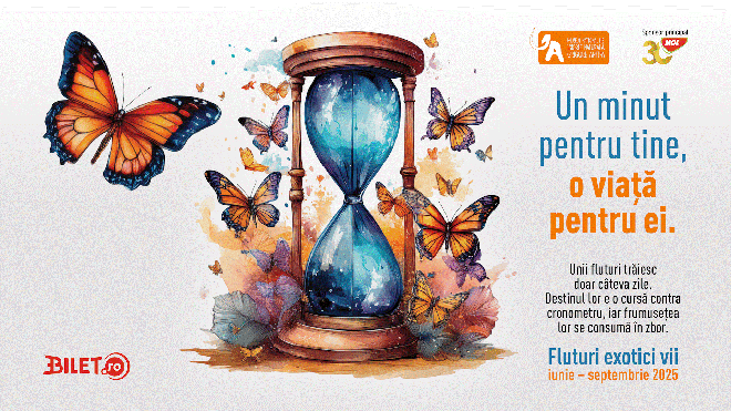 Expoziție de fluturi tropicali vii în grădina Muzeului Antipa