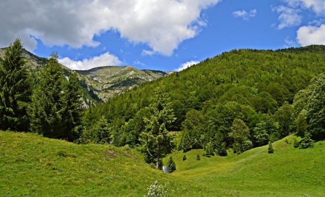 Cel mai lung traseu de sanie de vară din România va fi deschis în Sinaia, la 1 august