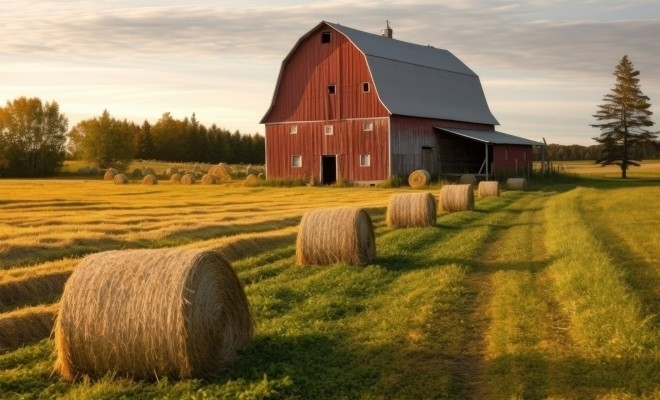 AFIR a publicat versiunea finală a Ghidului solicitantului pentru intervenția DR-19 Investiții neproductive la nivel de fermă