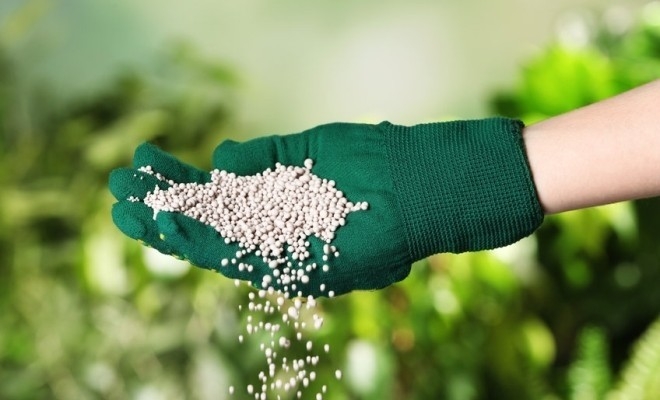 UE suspendă, pentru un an, taxele la importurile de îngrășăminte