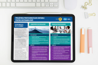 Pregătirea profesioniștilor contabili pentru sustenabilitate