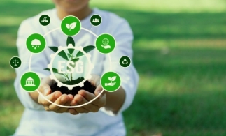 Webinar IFAC: Creșterea capacității și crearea unui ecosistem eficient de raportare a sustenabilității pentru IMM-uri