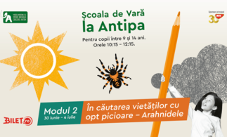 Școala de Vară la Antipa
