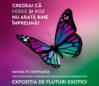 S-a deschis sera cu fluturi tropicali vii de la Muzeul Antipa