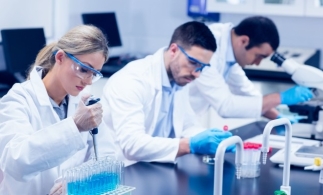 ECA: Parteneriatele pentru cercetare reprezintă un domeniu de risc major care necesită atenție sporită