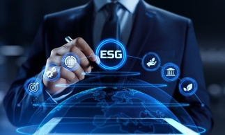 Fermitatea strategică și flexibilitatea tactică