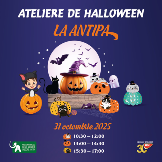 Ateliere de Halloween la Antipa