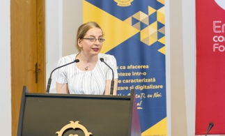 Mesajul Inspecției Muncii, transmis de Larisa Otilia Papp, Inspector General de Stat Adjunct