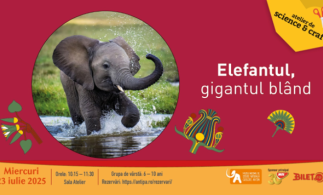 Ateliere cu tema „Recorduri în lumea animală”