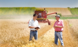 România concentrează 23% din forța de muncă în agricultură din UE; 44% dintre fermieri au peste 65 de ani