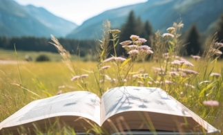 Obiective și soluții