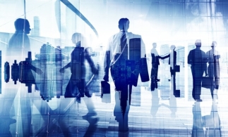 România a încheiat anul 2024 cu cea mai mică rată a locurilor de muncă vacante din UE
